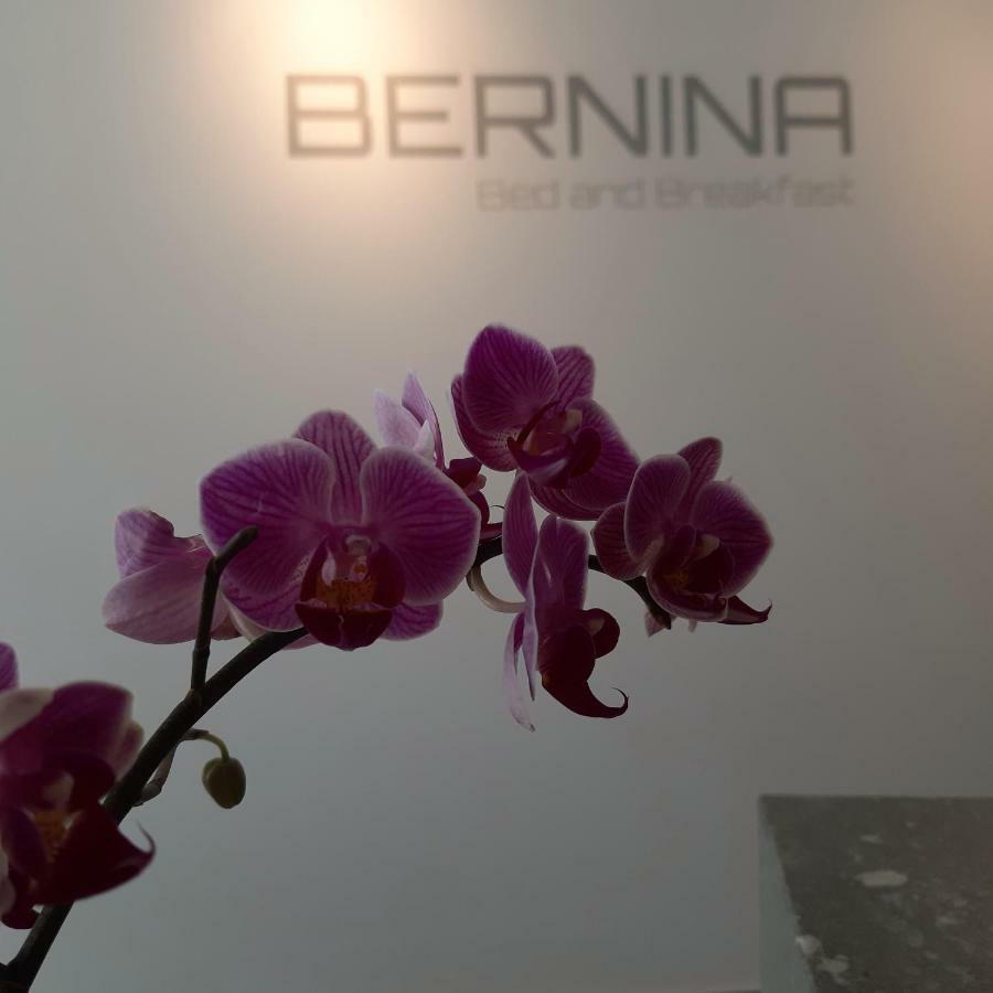 Bernina Bed And Breakfast Давос Экстерьер фото